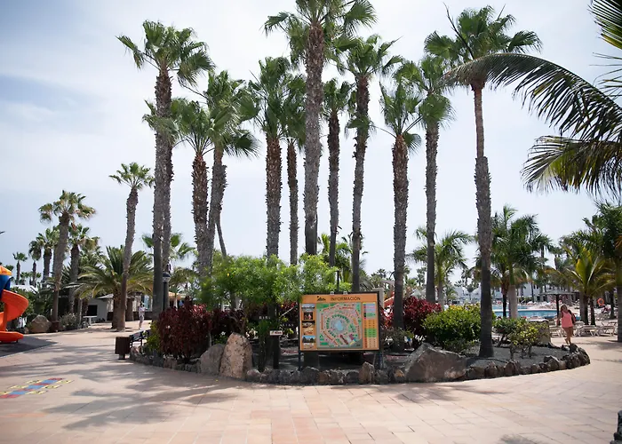 Apartamento Oasis DunasAparthotel